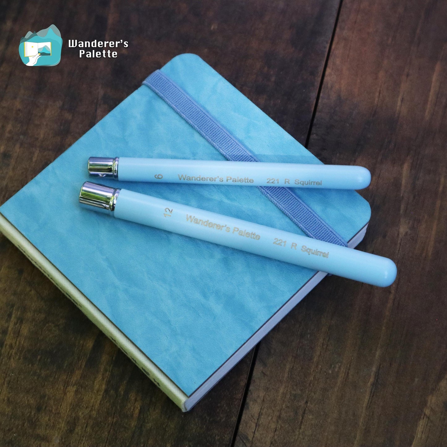Pos 10: Blue collapsible brush closed - portable short handle
