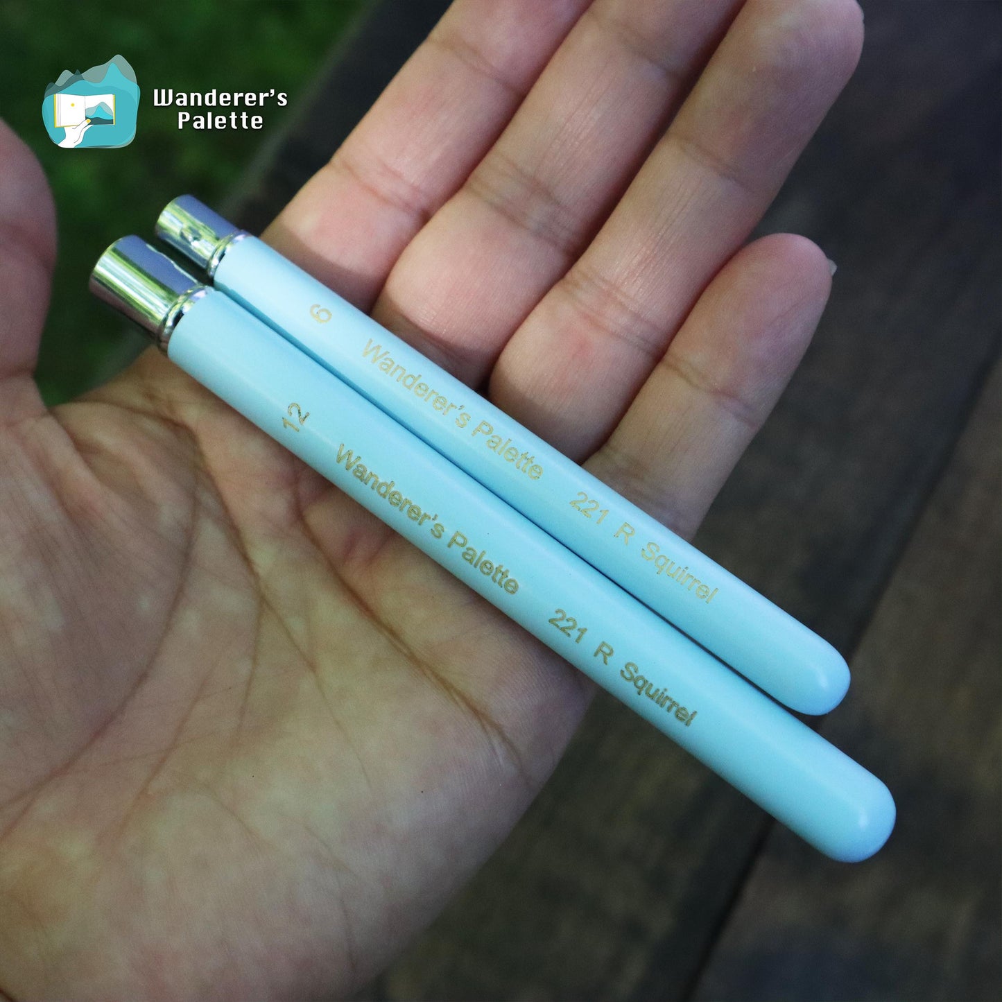 	Pos 5: Blue travel brush collapsed vs extended comparison